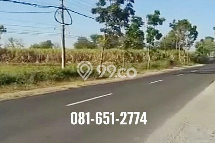 Tanah di Mantup, Lamongan Luas 50000m2 Dijual Segera Tanah di Mantup, Lamongan Luas 50000m2 Dijual Segera