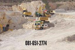 Tanah Dijual Lokasi Rengel Tuban SHM Tanah Dijual Lokasi Rengel Tuban SHM
