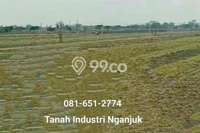 Kavling Tanah Dijual di Lengkong, Nganjuk, Luas 70000m2 Area Strategis Kavling Tanah Dijual di Lengkong, Nganjuk, Luas 70000m2 Area Strategis