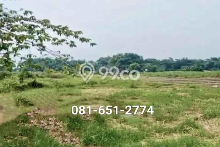 Kavling Tanah di Ploso Dijual Luas 105000m2 Legalitas SHM Kavling Tanah di Ploso Dijual Luas 105000m2 Legalitas SHM