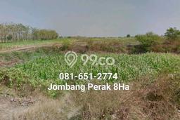 Lahan untuk Dijual Lokasi Perak, Jombang Luas 80000m2 SHM Lahan untuk Dijual Lokasi Perak, Jombang Luas 80000m2 SHM