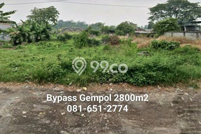 Lahan untuk Dijual Lokasi Gempol, Pasuruan Luas 2800m2 SHM Lahan untuk Dijual Lokasi Gempol, Pasuruan Luas 2800m2 SHM
