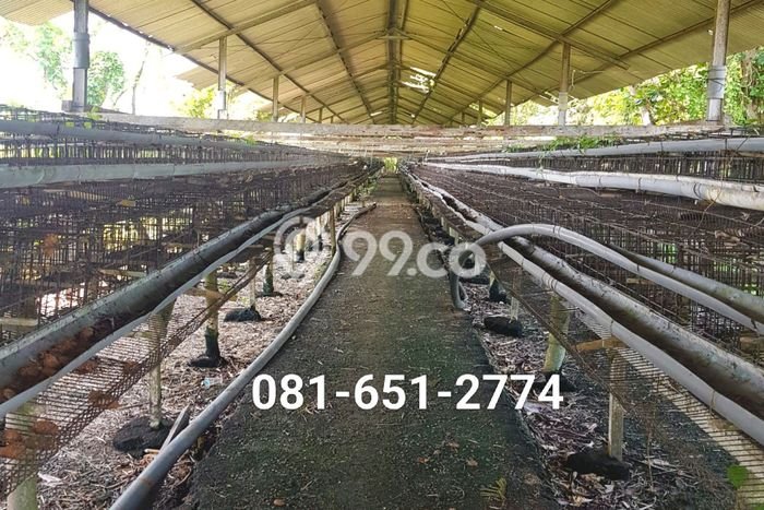 Unit Komersial Dijual di Bangkalan Bangkalan Luas Tanah 59000m2, Luas Bangunan 6000m2 Unit Komersial Dijual di Bangkalan Bangkalan Luas Tanah 59000m2, Luas Bangunan 6000m2