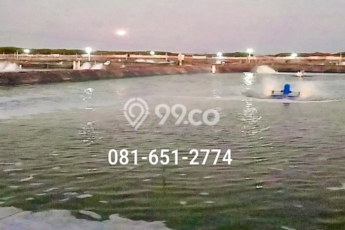 Komersial Bagus LT 60000m2 LB 50000m2 Dijual di Situbondo Situbondo Komersial Bagus LT 60000m2 LB 50000m2 Dijual di Situbondo Situbondo