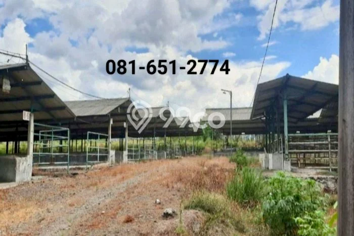 Untuk Dijual Komersial di Pacet, Mojokerto Harga Penawaran Spesial Untuk Dijual Komersial di Pacet, Mojokerto Harga Penawaran Spesial