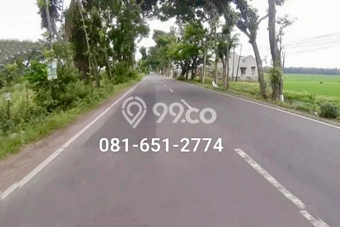 Kavling Tanah di Ploso Dijual Luas 105000m2 Legalitas SHM Kavling Tanah di Ploso Dijual Luas 105000m2 Legalitas SHM