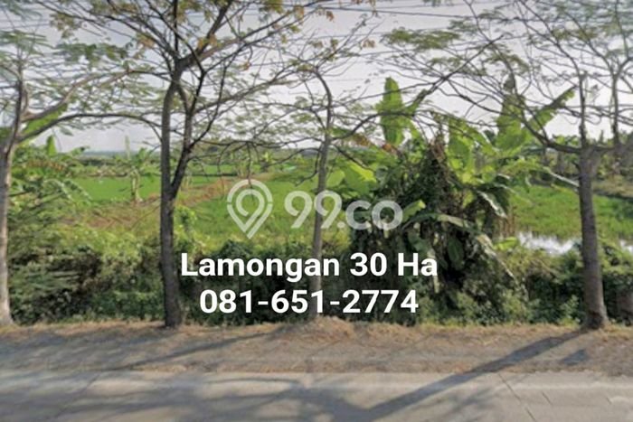 HARGA MENARIK! Tanah di Pucuk, Luas 300000m2m², Lokasi Potensial HARGA MENARIK! Tanah di Pucuk, Luas 300000m2m², Lokasi Potensial