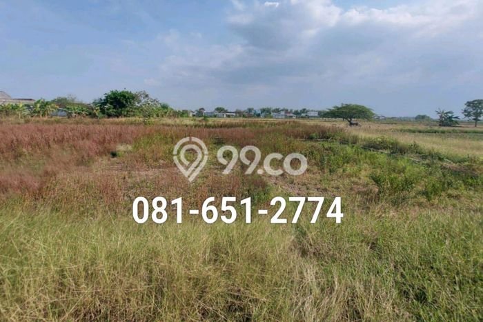 Tanah di Menganti, Gresik Luas 5000m2 Dijual Segera Tanah di Menganti, Gresik Luas 5000m2 Dijual Segera