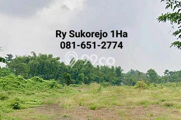 Lahan Dijual Lokasi Sukorejo, Pasuruan dengan Luas Tanah 10650m2 dan Status SHM Lahan Dijual Lokasi Sukorejo, Pasuruan dengan Luas Tanah 10650m2 dan Status SHM