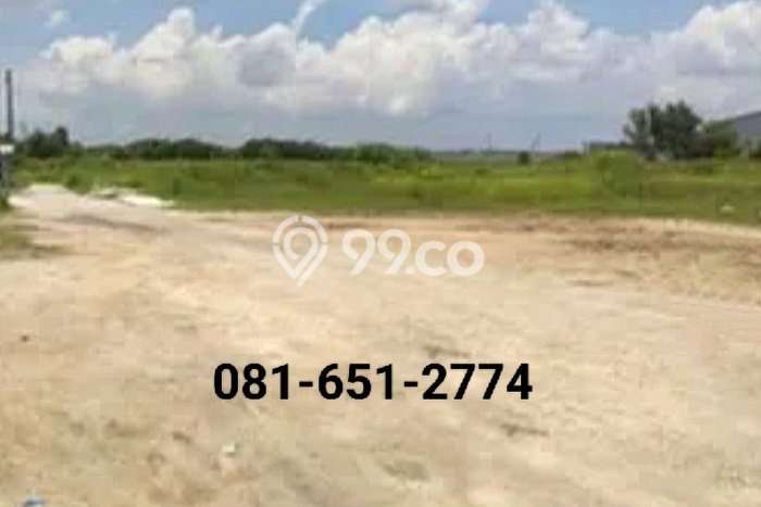 Untuk Dijual Tanah di Manyar Gresik Luas 27000m2 SHM Untuk Dijual Tanah di Manyar Gresik Luas 27000m2 SHM