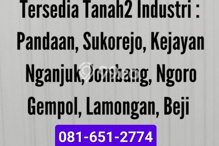 Tanah Dijual Lokasi Manyar, Gresik Luas 30000m2 Legalitas Aman Tanah Dijual Lokasi Manyar, Gresik Luas 30000m2 Legalitas Aman