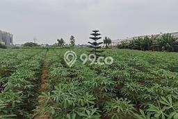 Tanah Siap Bangun Dijual di Bogor Punya Luas 2200m2 Tanah Siap Bangun Dijual di Bogor Punya Luas 2200m2