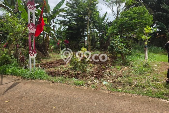 Tanah Kavling untuk Dijual di Gunung Sindur Bogor 200m2 Tanah Kavling untuk Dijual di Gunung Sindur Bogor 200m2