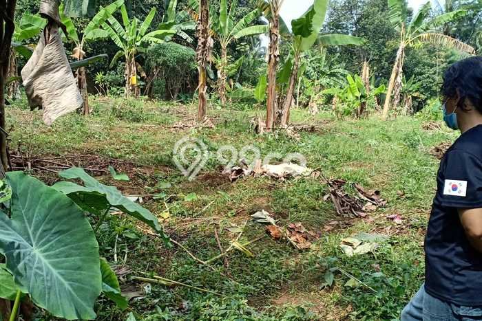Tanah Dijual Lokasi Bogor Selatan, Bogor Luas 5050m2 Legalitas Aman Tanah Dijual Lokasi Bogor Selatan, Bogor Luas 5050m2 Legalitas Aman