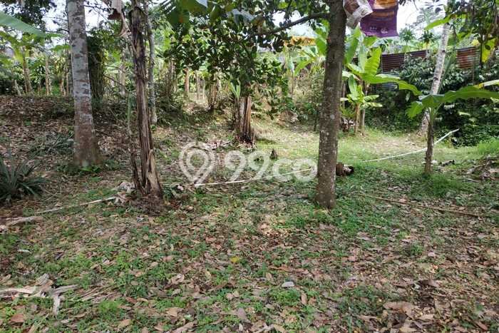Lahan Investasi Lokasi Cijeruk Bogor SHM Lahan Investasi Lokasi Cijeruk Bogor SHM
