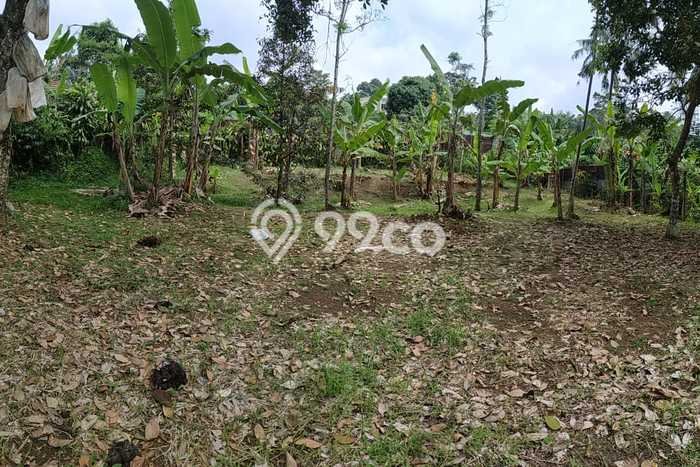 Lahan Investasi Lokasi Cijeruk Bogor SHM Lahan Investasi Lokasi Cijeruk Bogor SHM