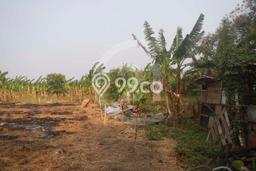 Kavling Tanah Dijual di Cengkareng Jakarta Barat Spesifikasi 16600m2 Kavling Tanah Dijual di Cengkareng Jakarta Barat Spesifikasi 16600m2