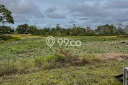 Tanah untuk Dijual Lokasi Lintong Nihuta, Hambang Hasundutan Luas 80000m2 SHM Tanah untuk Dijual Lokasi Lintong Nihuta, Hambang Hasundutan Luas 80000m2 SHM
