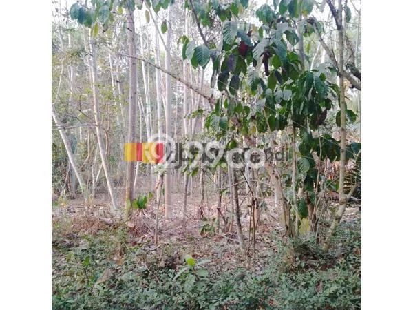 Tanah Dijual Area Strategis di Martoyudan Magelang 1240m2 Tanah Dijual Area Strategis di Martoyudan Magelang 1240m2