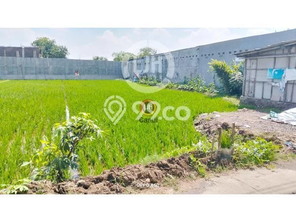 Tanah di Mranggen, Luas 3055m2m², Dekat Jalan Utama Tanah di Mranggen, Luas 3055m2m², Dekat Jalan Utama