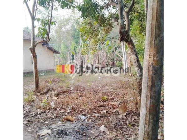Tanah Dijual Area Strategis di Martoyudan Magelang 1240m2 Tanah Dijual Area Strategis di Martoyudan Magelang 1240m2