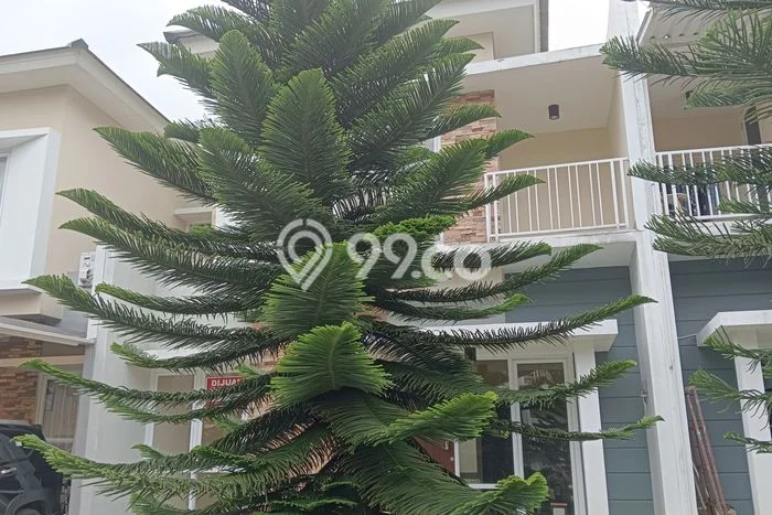 Jual Rumah Minimalis Bagus Punya 2 KT di Bogor Utara Bogor SHM Jual Rumah Minimalis Bagus Punya 2 KT di Bogor Utara Bogor SHM