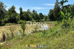 Tanah di Serang, Serang Luas 150000m2 Dijual Segera Tanah di Serang, Serang Luas 150000m2 Dijual Segera