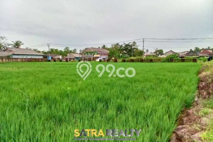 Jarang Ada! Tanah di Panimbang Punya Luas 15000m2 SHM Jarang Ada! Tanah di Panimbang Punya Luas 15000m2 SHM