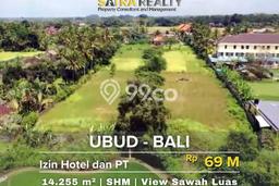 Tanah di Ubud, Luas 14255m², Area Potensial, Lingkungan Asri Tanah di Ubud, Luas 14255m², Area Potensial, Lingkungan Asri