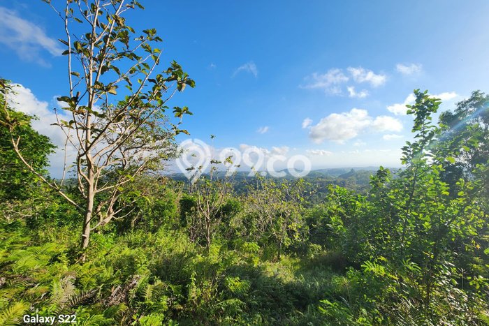 Tanah Kavling Dijual di Klungkung dengan Spesifikasi 13700m2 Tanah Kavling Dijual di Klungkung dengan Spesifikasi 13700m2