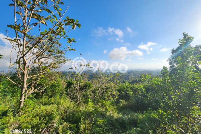Tanah Kavling Dijual di Klungkung dengan Spesifikasi 13700m2 Tanah Kavling Dijual di Klungkung dengan Spesifikasi 13700m2