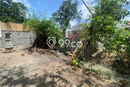 For Rent Tanah Kawasan Canggu, Luas 700m², Akses Mudah, Lokasi Premium For Rent Tanah Kawasan Canggu, Luas 700m², Akses Mudah, Lokasi Premium