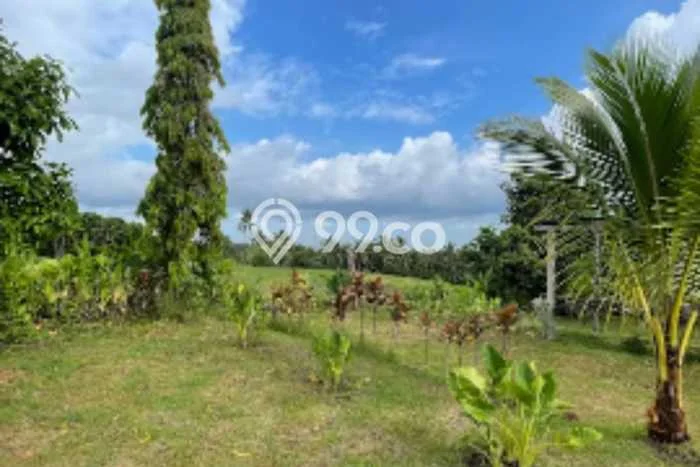 Tanah Kawasan , Luas 3000m2m², Dekat Jalan Utama Tanah Kawasan , Luas 3000m2m², Dekat Jalan Utama