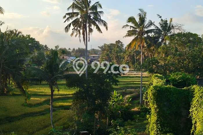 Tanah Dijual Area Strategis di Lodtunduh Gianyar 922m2 Tanah Dijual Area Strategis di Lodtunduh Gianyar 922m2