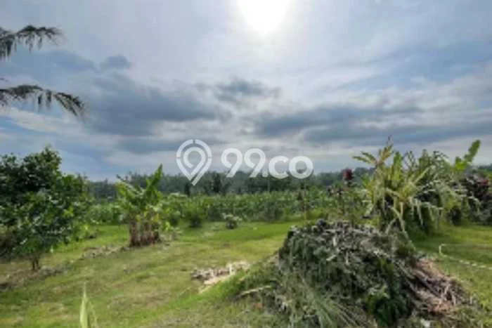 Tanah Kawasan , Luas 3000m2m², Dekat Jalan Utama Tanah Kawasan , Luas 3000m2m², Dekat Jalan Utama