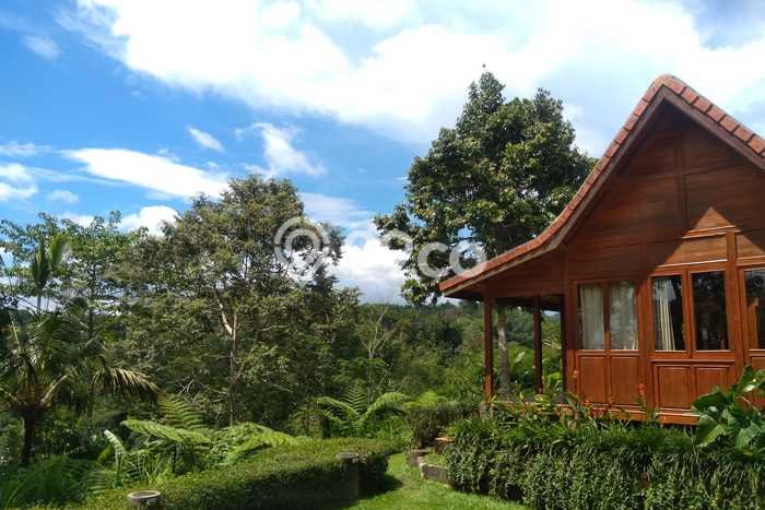 Vila di Payangan, Ukuran 1625m2m², Akses ke fasilitas publik Vila di Payangan, Ukuran 1625m2m², Akses ke fasilitas publik
