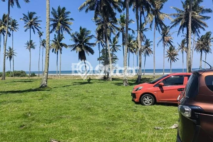 Kavling Tanah di Tabanan Dijual Luas 29200m2 Legalitas SHM Kavling Tanah di Tabanan Dijual Luas 29200m2 Legalitas SHM