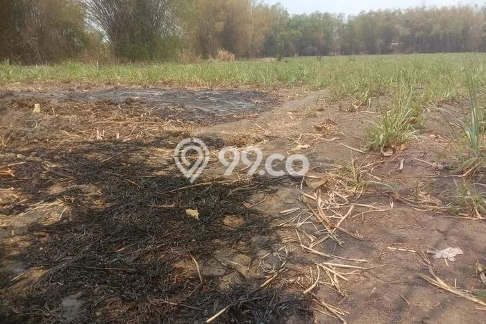 Tanah Dijual Lokasi Modung, Bangkalan Luas 16000m2 Legalitas Aman Tanah Dijual Lokasi Modung, Bangkalan Luas 16000m2 Legalitas Aman