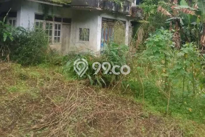 Dijual Tanah Lokasi Munduk, Buleleng Seluas 14400m2 Dijual Tanah Lokasi Munduk, Buleleng Seluas 14400m2
