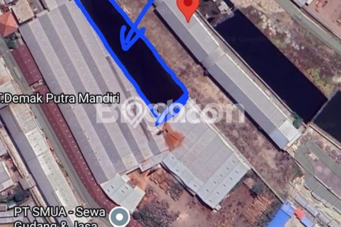 Untuk Dijual Tanah di Sayung Demak Luas 5000m2 SHM Untuk Dijual Tanah di Sayung Demak Luas 5000m2 SHM