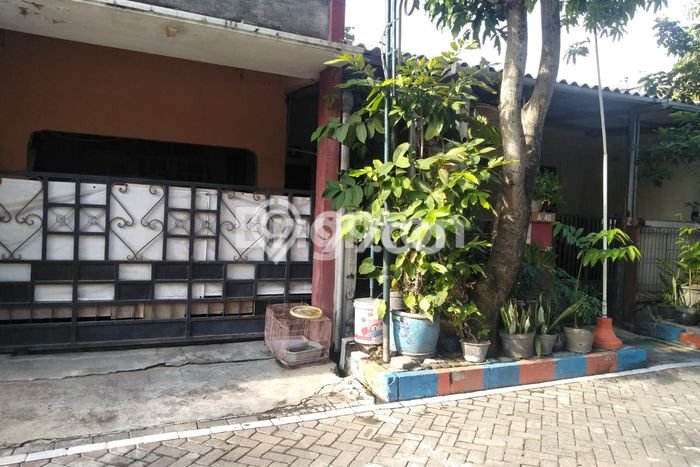 Dijual Rumah 3 Kamar Lokasi Ideal Nyaman dan Strategis di Pedurungan Dijual Rumah 3 Kamar Lokasi Ideal Nyaman dan Strategis di Pedurungan