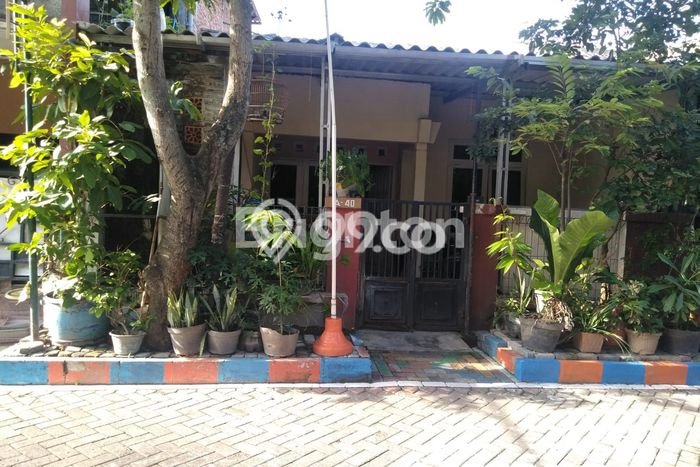Dijual Rumah 3 Kamar Lokasi Ideal Nyaman dan Strategis di Pedurungan Dijual Rumah 3 Kamar Lokasi Ideal Nyaman dan Strategis di Pedurungan