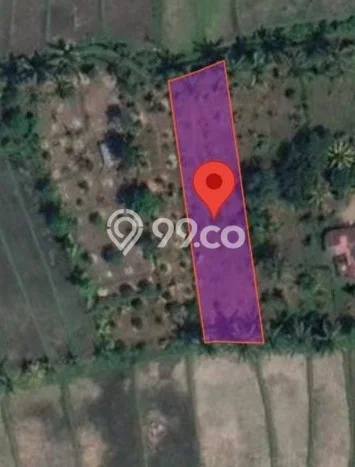 Dijual Tanah 750m2 di Kayuputih, Buleleng Dijual Tanah 750m2 di Kayuputih, Buleleng