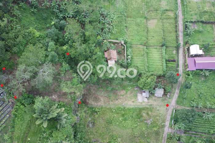 Tanah Kavling untuk Dijual di Baturiti Tabanan 1560m2 Tanah Kavling untuk Dijual di Baturiti Tabanan 1560m2