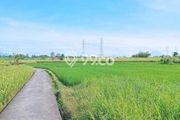 Tanah Disewakan Lokasi Badung Seluas 250m2 Strategis dan Aman Tanah Disewakan Lokasi Badung Seluas 250m2 Strategis dan Aman