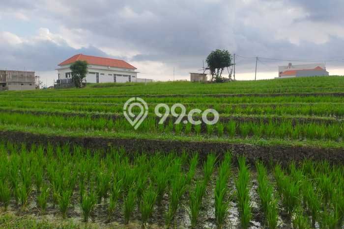 Tanah Disewa Strategis di Badung Luas 2950m2 Tanah Disewa Strategis di Badung Luas 2950m2