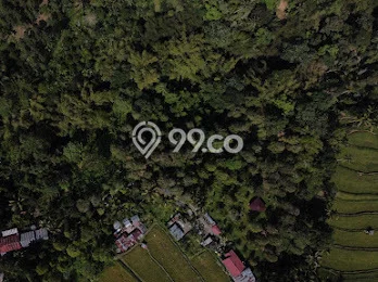 Tanah Kavling Dijual di Gobleg, Buleleng dengan Luas Tanah 2300m2 Tanah Kavling Dijual di Gobleg, Buleleng dengan Luas Tanah 2300m2