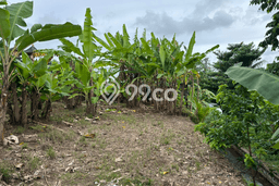 Untuk Dijual Tanah di Ubud Gianyar Luas 200m2 SHM Untuk Dijual Tanah di Ubud Gianyar Luas 200m2 SHM