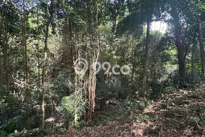 Disewakan Tanah di Ubud, Luas 700m², Akses Mudah, Area Strategis Disewakan Tanah di Ubud, Luas 700m², Akses Mudah, Area Strategis