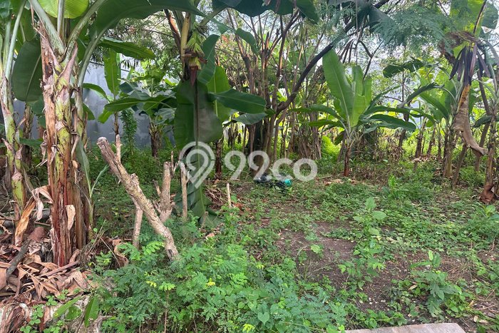 Untuk Disewa Tanah di Renon Denpasar Seluas 650m2 Untuk Disewa Tanah di Renon Denpasar Seluas 650m2